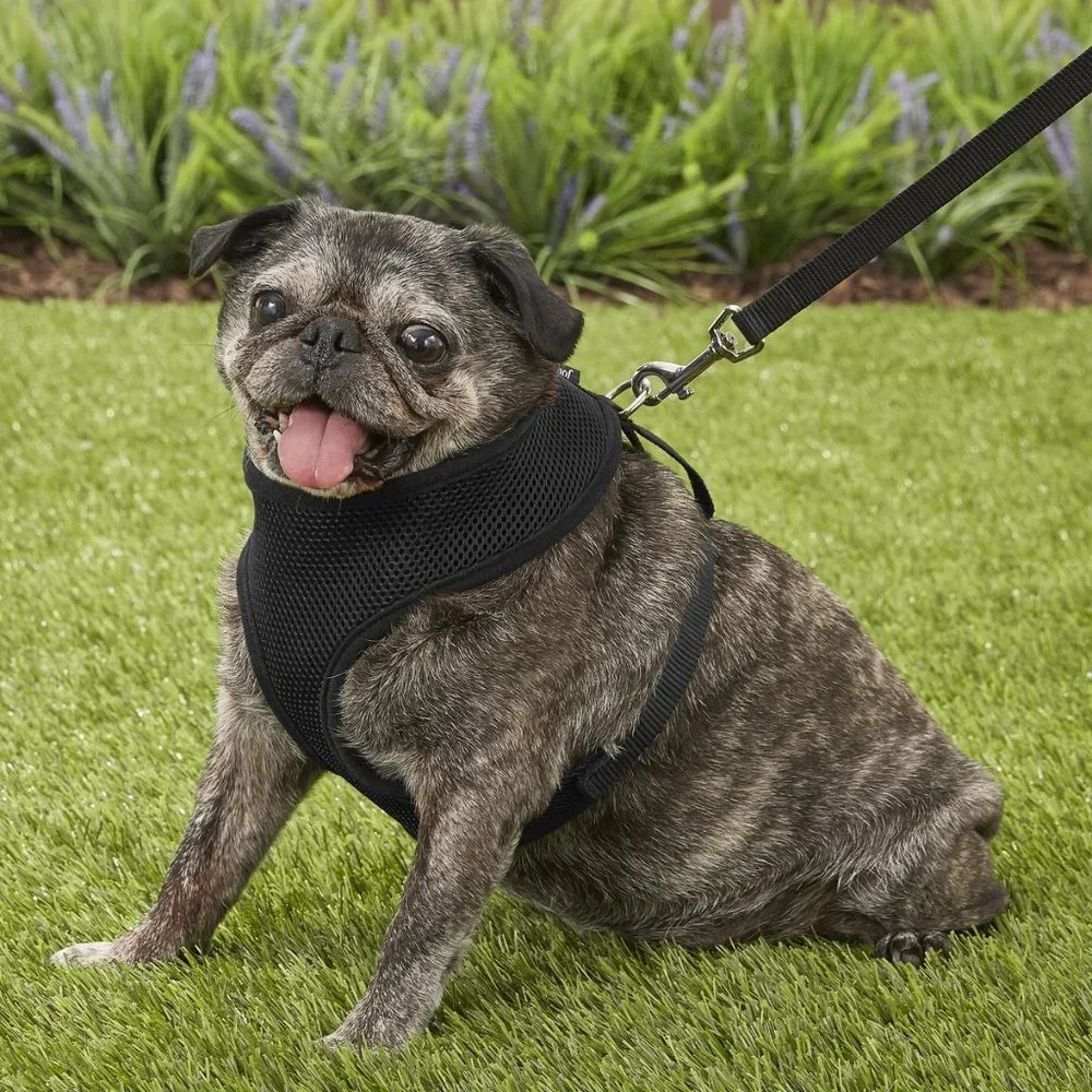NWT Four Paws Walk-About Comfort Control Dog Harness Black Large